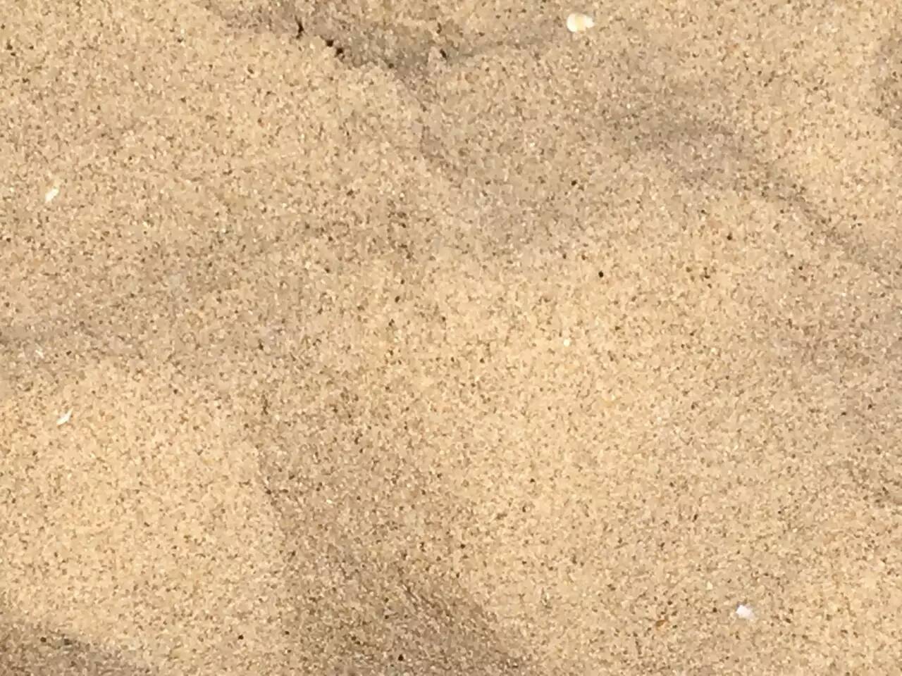 國際搬家