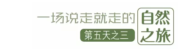 國(guó)際搬家