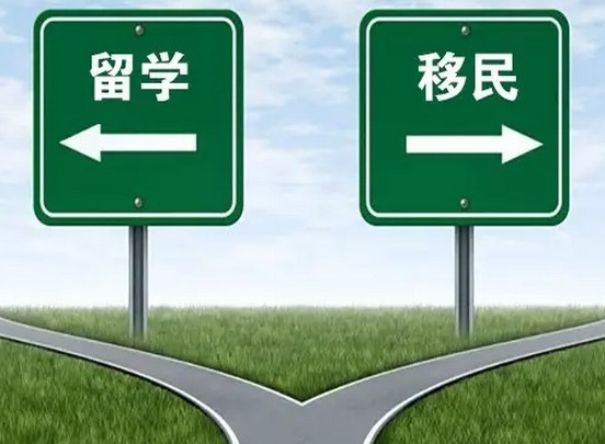 國際搬家